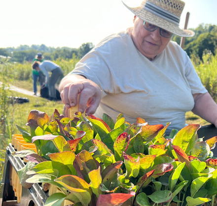 a woman in a hat and glasses working in a garden