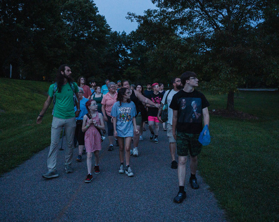 a group of people walking on a path