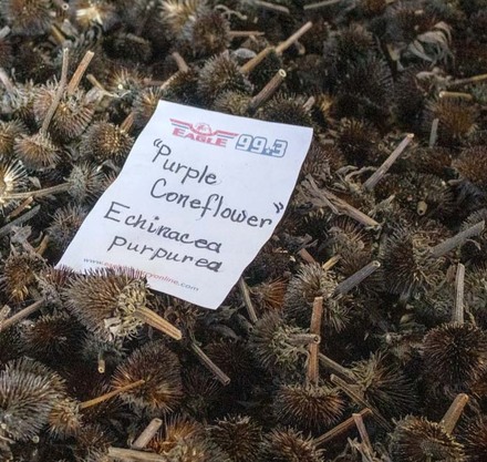 a pile of brown flowers