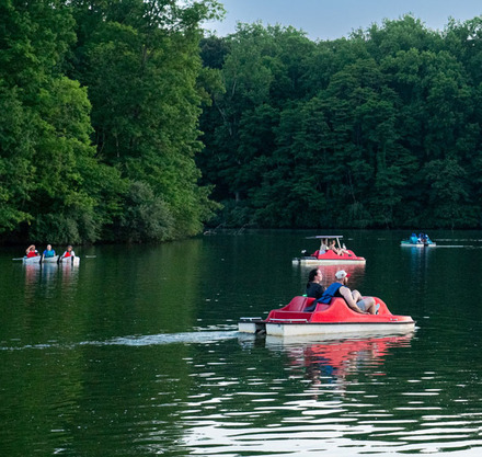 people in a pedal boat on a lake