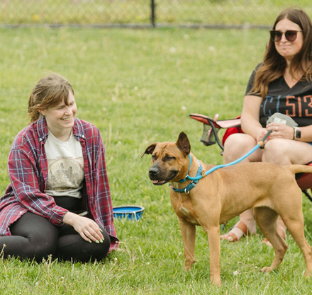 a woman sitting in a chair with a dog on a leash