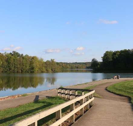 a path leading to a lake