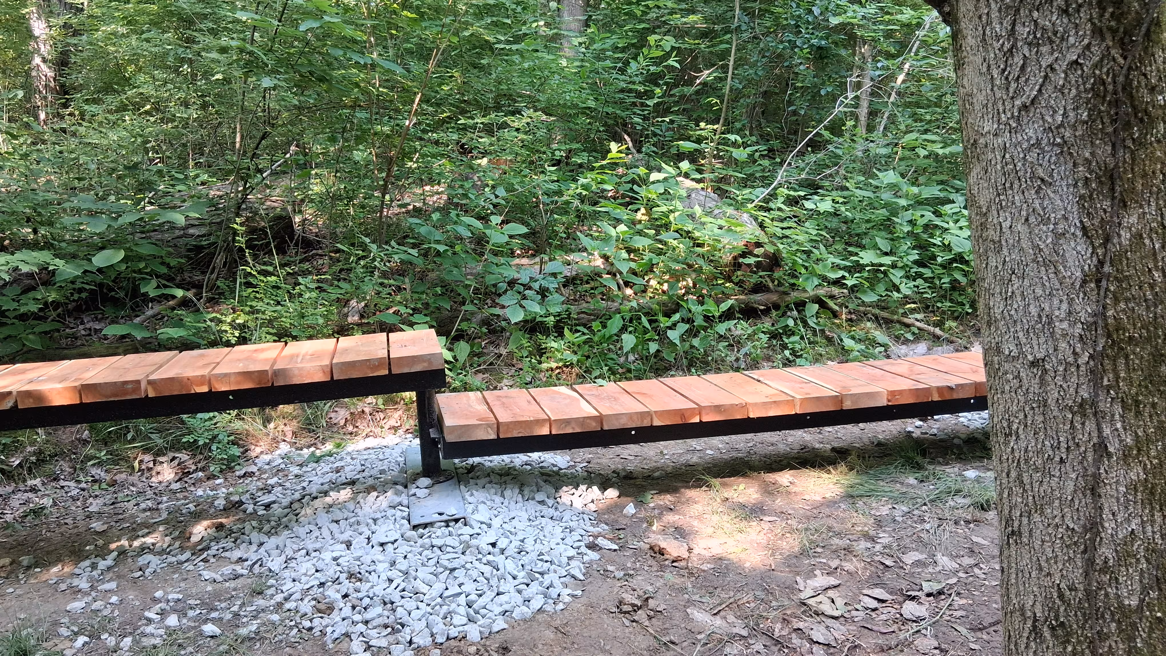 a bench in the woods
