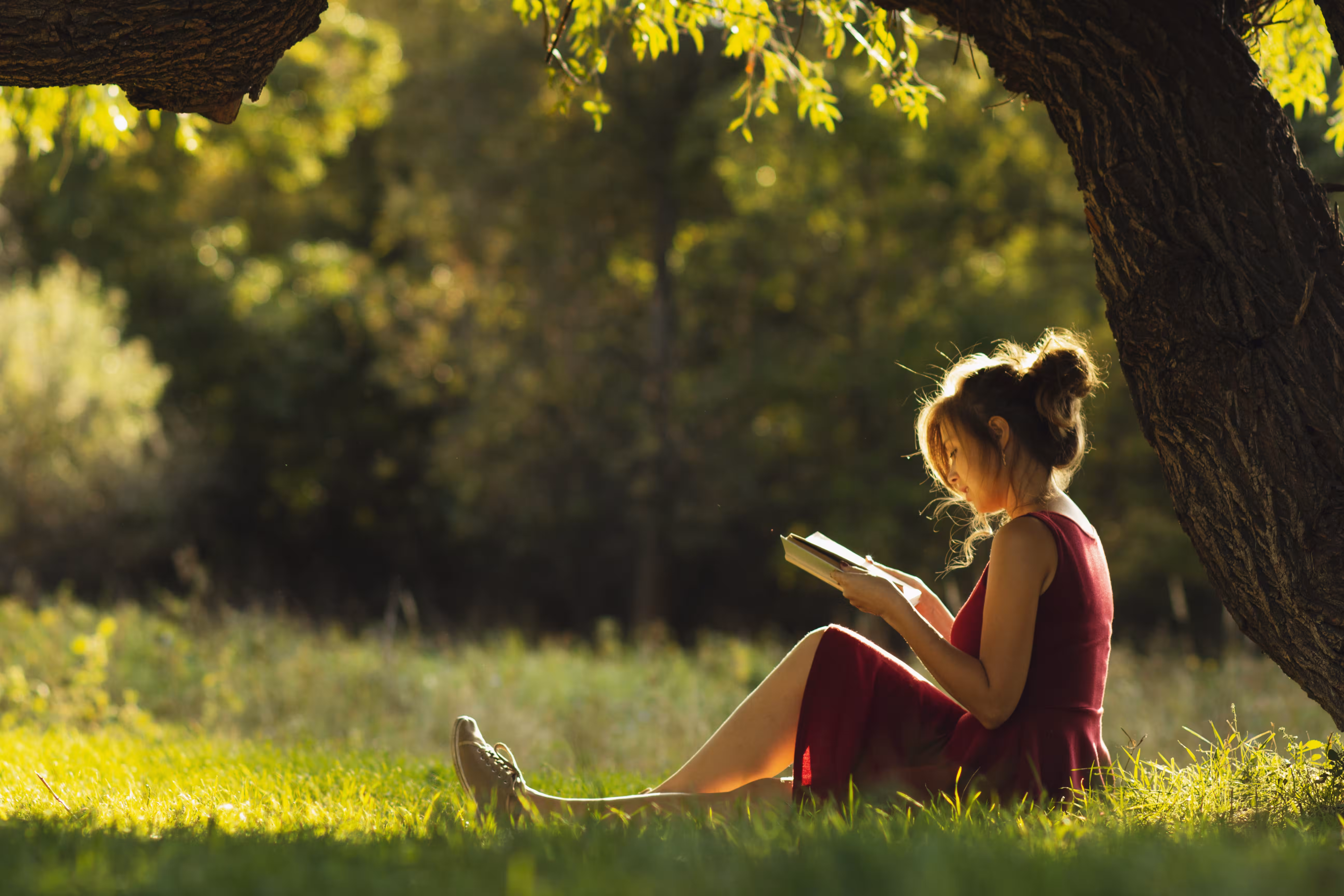 reading under a tree