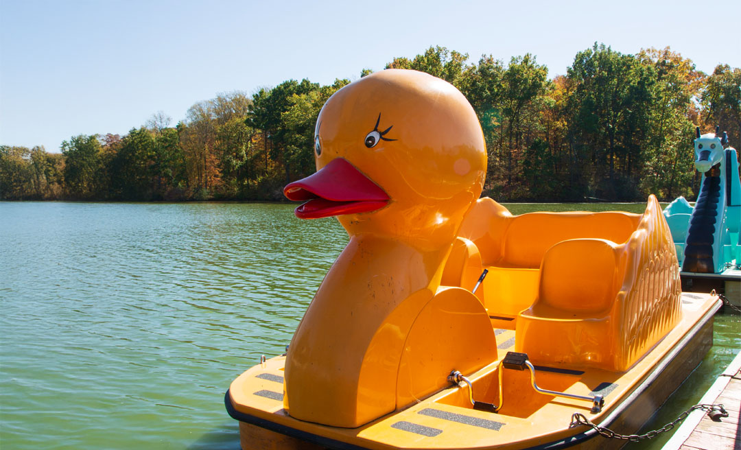 a yellow duck on a boat