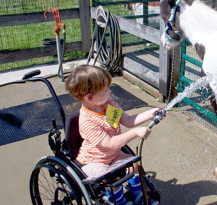 a boy in a wheelchair spraying water on a horse