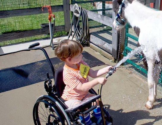 a boy in a wheelchair spraying water on a horse