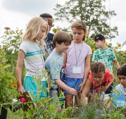 a group of children in a field