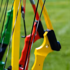a close up of a bow