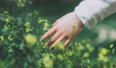 a hand touching a plant
