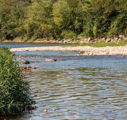 a river with rocks and trees