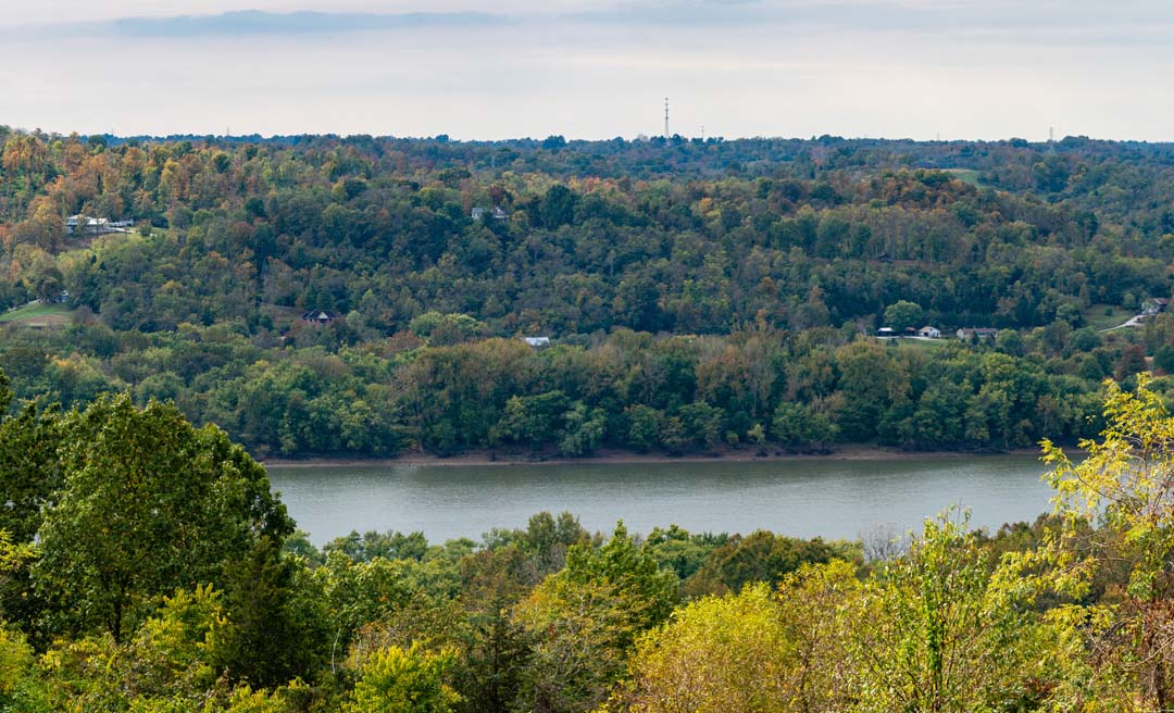 a river with trees around it