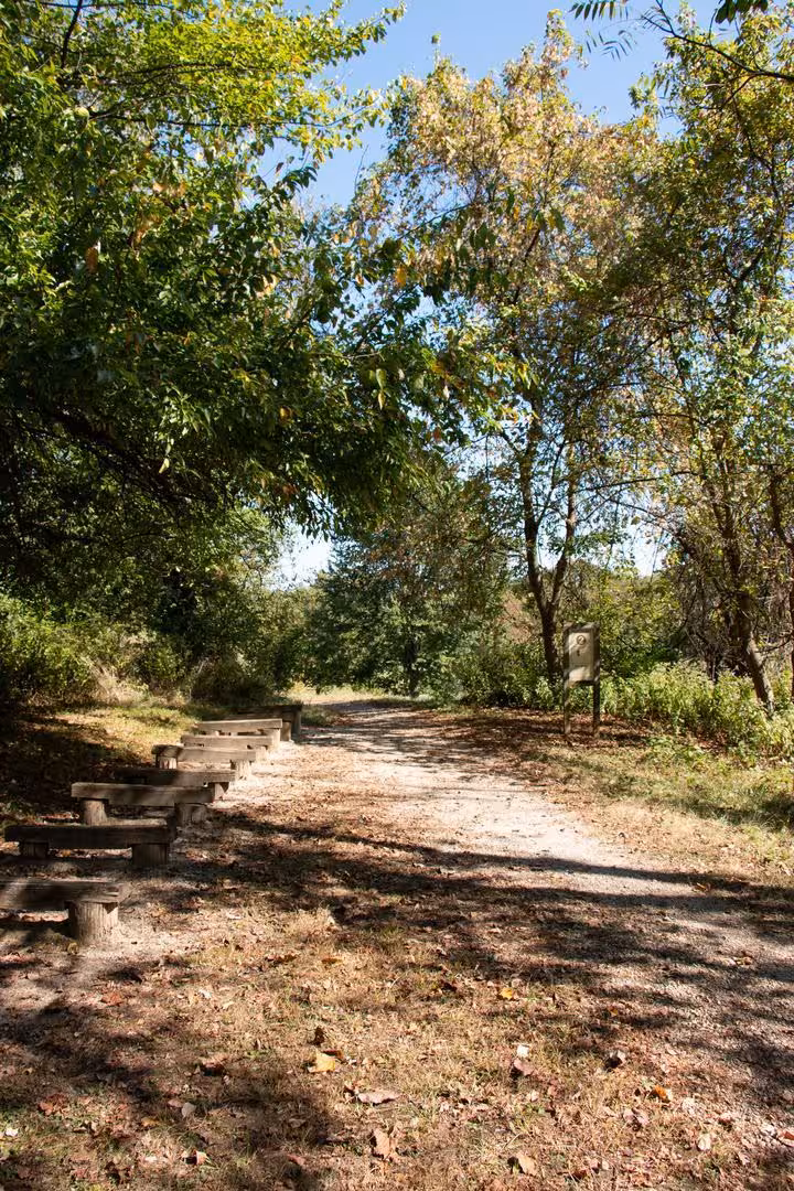 Walking Trail at Embshoff Woods