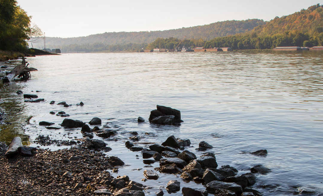 a rocky shore with trees in the background
