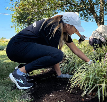a group of women working in a garden