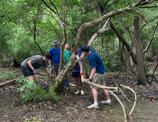 a group of people in the woods
