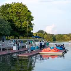 people on a dock with pedal boats