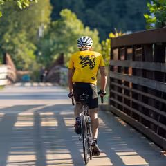 a man riding a bicycle on a bridge