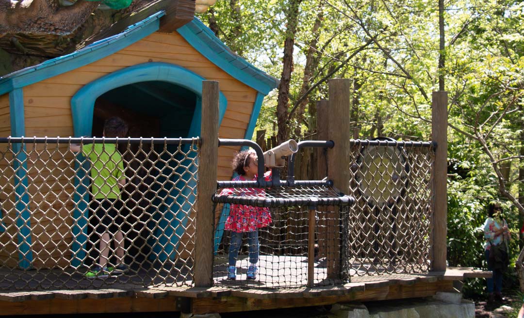 a child standing on a bridge