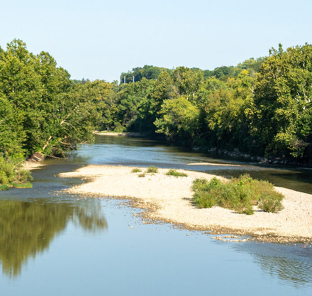 a river with trees around it