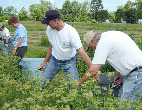 a group of people working in a field