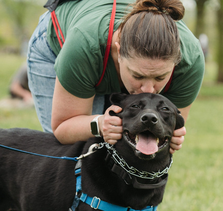 a woman kissing a dog