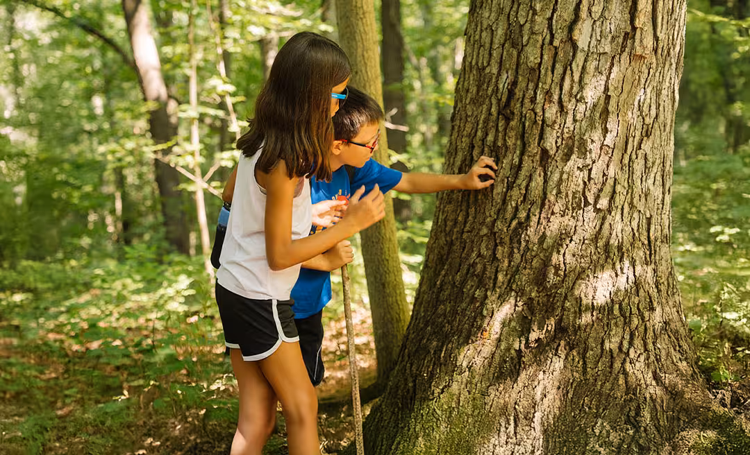 a boy looking at leaves